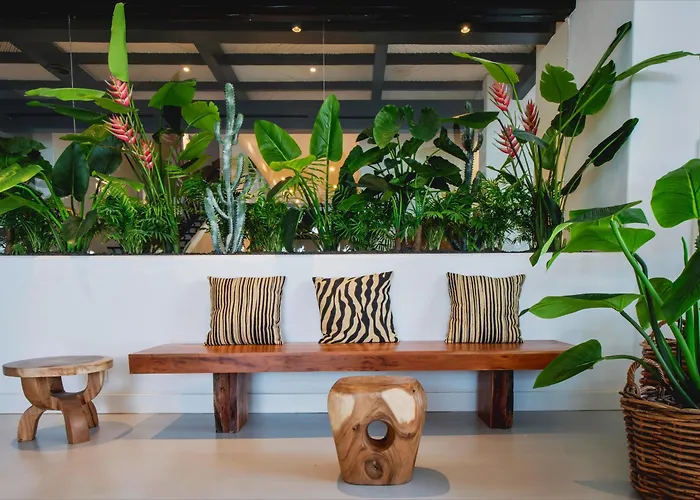 فندق Dreams Jardin Tropical &