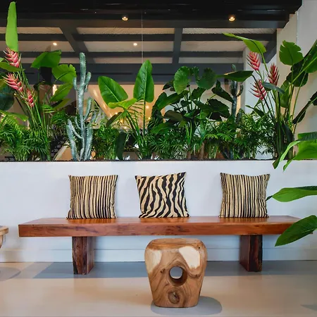 Hotel Dreams Jardin Tropical &